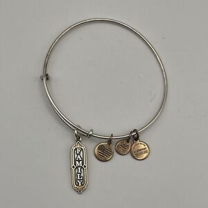 Alex and Ani Family‎ Charm Bangle Bracelet Expandable Silver Tone USA